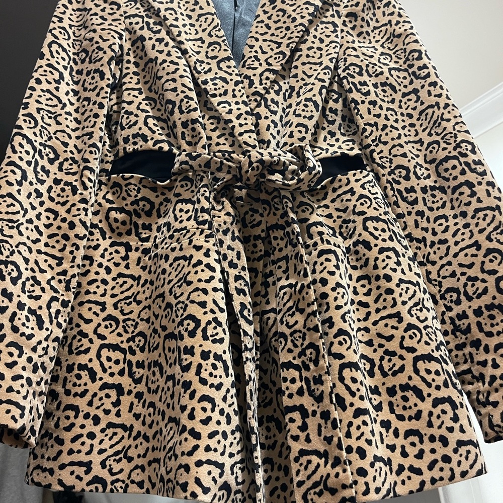 Velvet Blazer - Picture 4 of 5